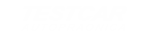 Auto & Detailing template